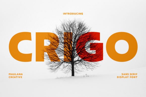 Crigo: The Bold Display Typeface for Strong Brand Identity