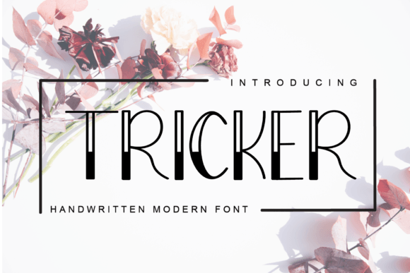 How Tricker Typeface Transformed My Boutique Brand Identity